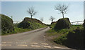 Lane from Malston Cross