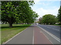 Cycle path beside Uxbridge Road (A4020), Ealing Common