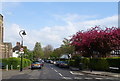 Denison Road, Ealing. London W5