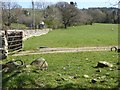 Corner of field below Howe Hill