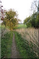 SP9019 : Outer Aylesbury ring footpath by Philip Jeffrey
