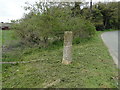 Haveringland Stump Cross