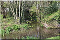 Tributary, Monmouthshire & Brecon Canal