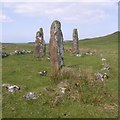 NM4357 : Standing stones, Glengorm Castle by Richard Webb
