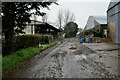 Muddy road at Tattraconnaghty