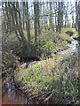 Brook through Rough Head Wood