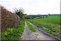 Geopark Way near Kinlet, Shrops