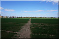 Path towards Mill Dike Bridge