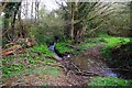 Small stream near Kinlet, Shrops