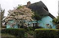 Thatched cottage in Allen