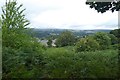 Ilkley through bracken