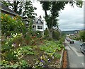 Garden on Cowpasture Road