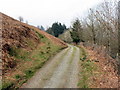 Cyffordd o lwybrau / Junction of paths