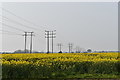 TM2439 : Pylons near Strattonhall Drift by Simon Mortimer