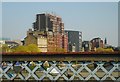 New development beside the River Clyde