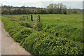 Gate by Wick Meads