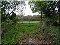 Field entrance off Denham Lane