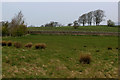 Countryside near Abbot Barn