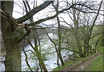 SE0598 : Path down to the River Swale by Russel Wills
