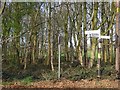 SJ5965 : Road sign, Little Budworth Common by Richard Webb