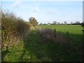 Farm track near Tilstock