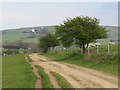 TQ2813 : Bridleway on the South Downs, near Pyecombe by Malc McDonald