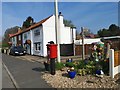 Colourful corner at Elsham