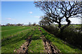 Path alongside Woodhouse Green Road