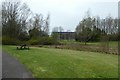 Bench beside the pond