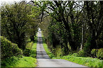 H5071 : Danger along Edenderry Road, Recarson by Kenneth  Allen