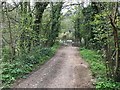 Track exiting Llanymynech Red Wall car park