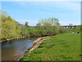 The River Dane at Hermitage Bridge