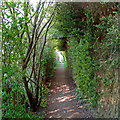 Public Footpath between Hedges, Hutton