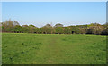 Hutton Country Park - Local Nature Reserve