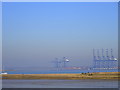 TM2634 : Cranes at Felixstowe docks, from Dovercourt by Mr James D