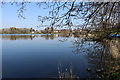 Mill Loch, Lochmaben