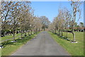 Dryfesdale Cemetery