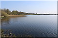 Castle Loch, Lochmaben