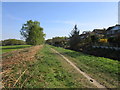 Footpath alongside the Catchwater Drain