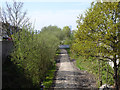 Course of former branch railway to Addiscombe