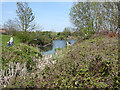 Lake in Brickfields Meadow