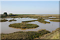 Saltmarsh east of Oxenham Farm, Great Wakering