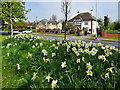 Saltshouse Road, Kingston upon Hull