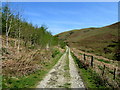 Track below Springhill Wood