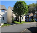 Houses and tree, Buckland Drive, Bwlch, Powys