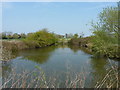 Small pond near a large irrigation pool