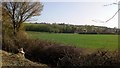 Looking Towards Hartest Across Farmland