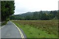 NY3605 : Road to Rydal by DS Pugh