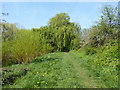 Path, Heavers Meadow