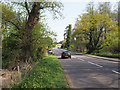 Looking North on A1065 at Ickburgh